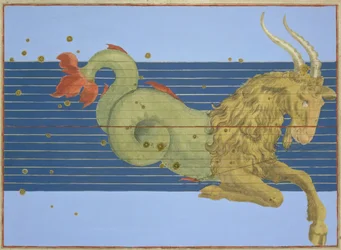 Konstellation des Steinbocks, aus 